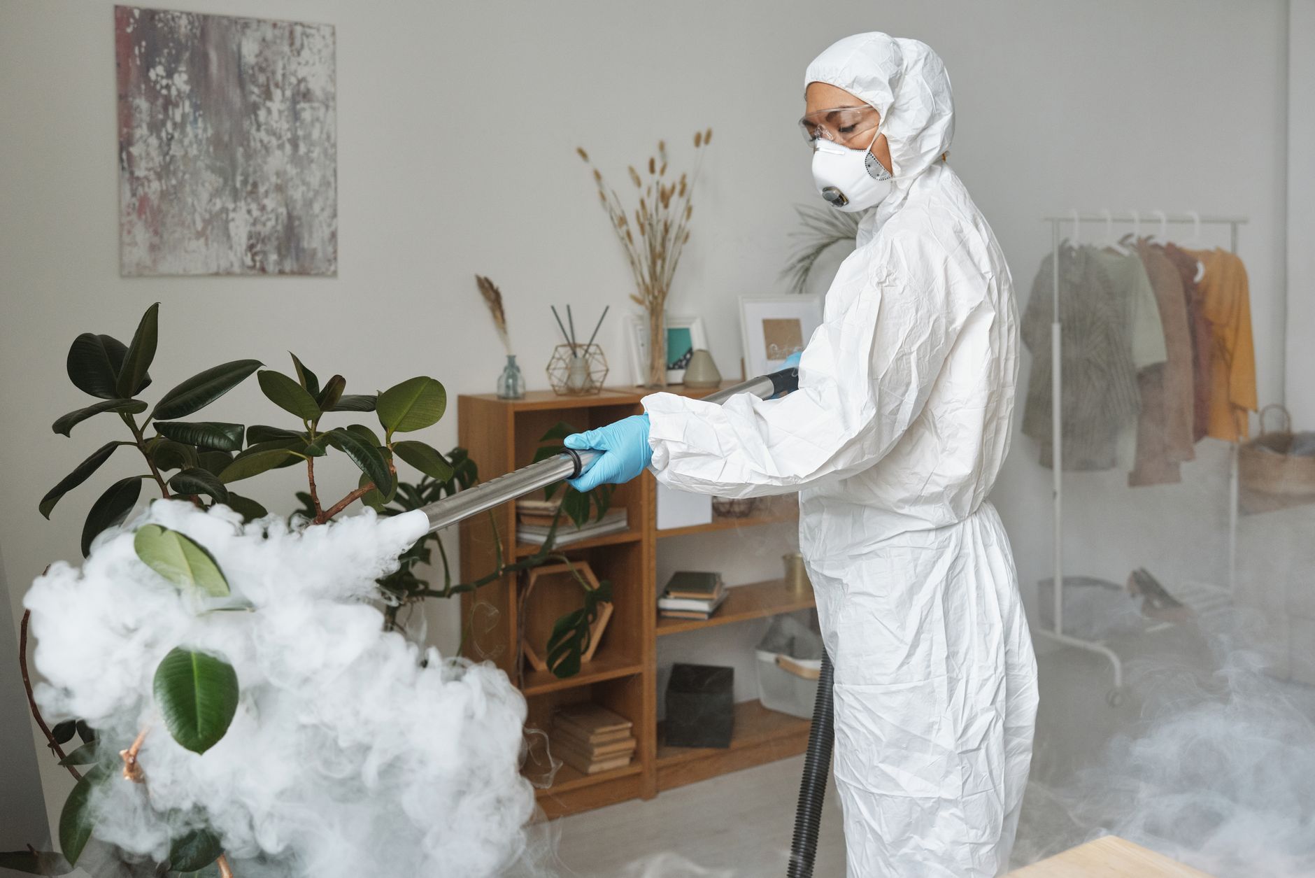 Termite Treatment – New Braunfels