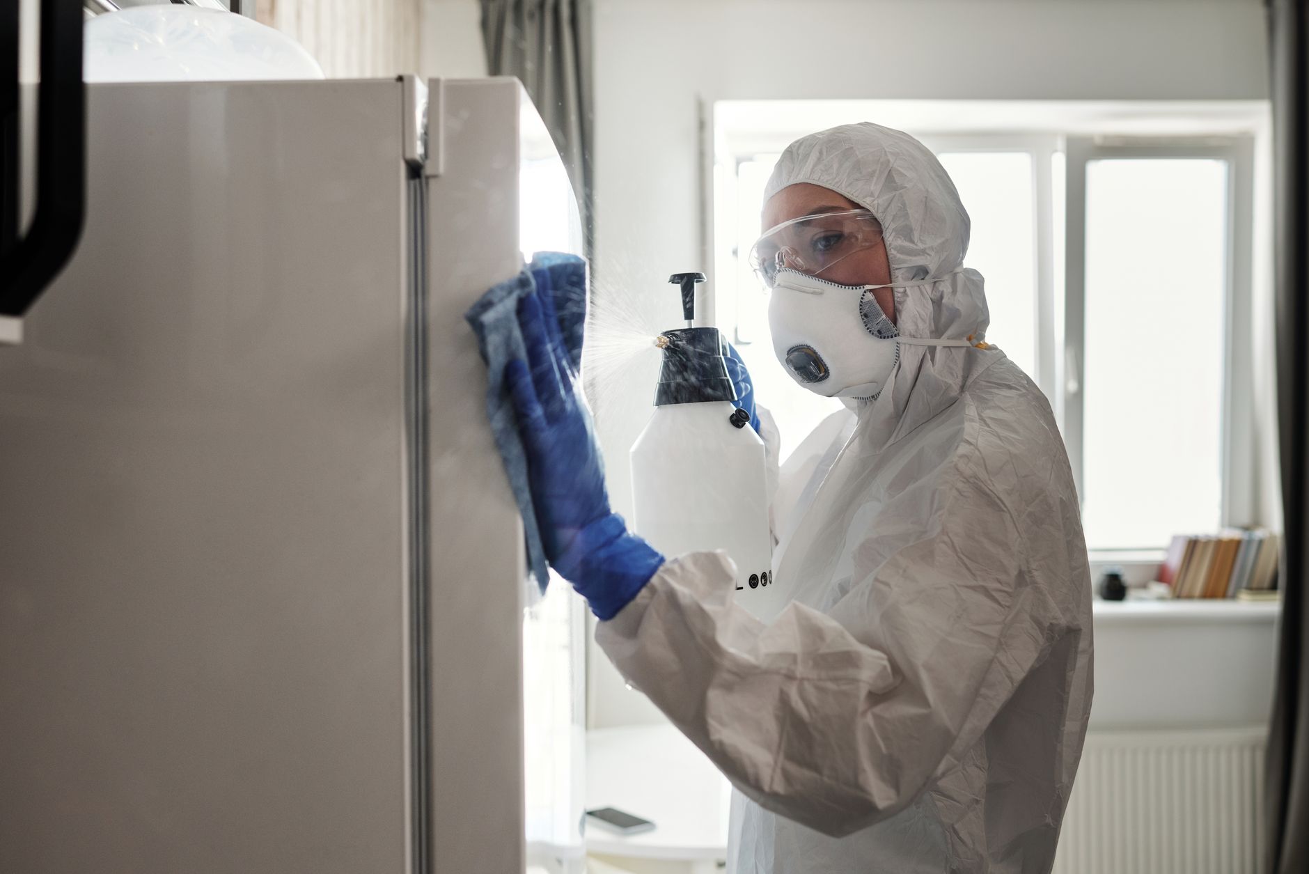 Ant & Roach Treatment – New Braunfels