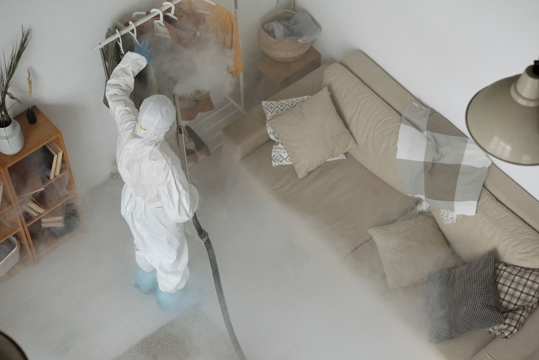 Wasp Nest Removal – New Braunfels
